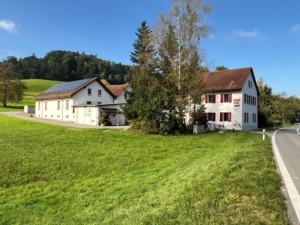 Museum - Neues Gesamtbild 2025 Museum Neues Gesamtbild 2025
